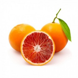 Arance Tarocco Gallo Per Spremuta 17 Kg