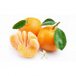 Mandarini 50 Kg