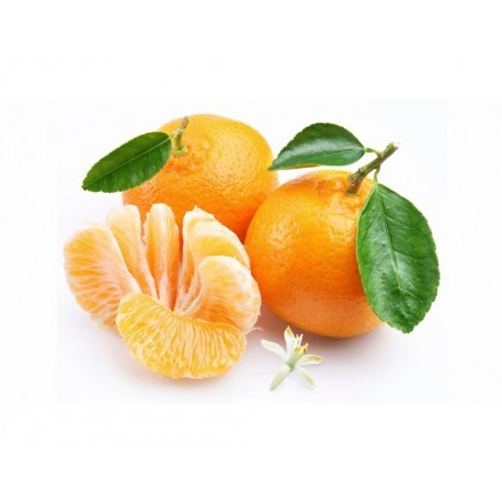 Mandarini 17 Kg